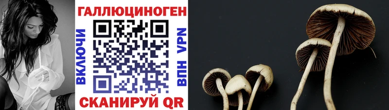 Псилоцибиновые грибы прущие грибы  Нефтекамск 